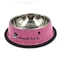 dog travel water bowl